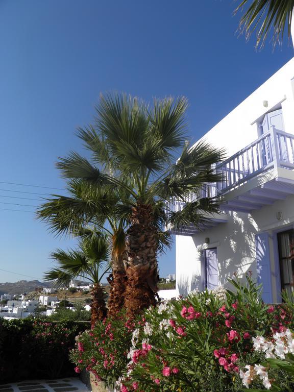 Anastasios Sevasti Hotel Mykonos Town Exterior photo
